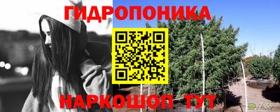 винт Камышлов