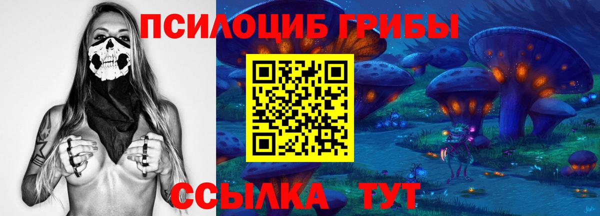 Псилоцибиновые грибы MAGIC MUSHROOMS  цена наркотик  Всеволожск  Вход с VPN 